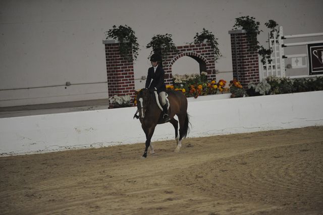 1219-Madaline-NicoleBellissimo-LegacyCup-NonPro3'-5-15-08-DeRosaPhoto.jpg