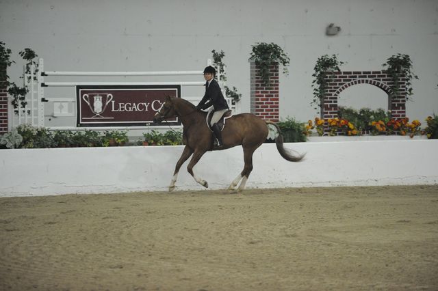 1272-Vermilion-AinsleySadlo-LegacyCup-NonPro3'-5-15-08-DeRosaPhoto.jpg
