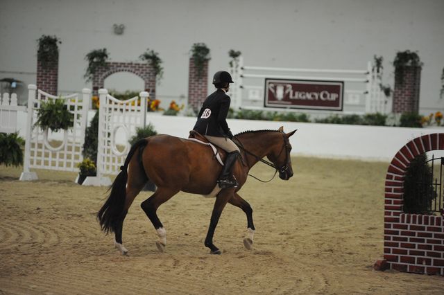 2072-Miracle-PaulenaJohnson-LegacyCup-NonPro3'6GoRound-5-17-08-DeRosaPhoto.jpg