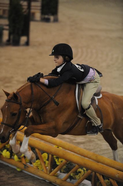 2155-ShamsHuckleberry-MeredithDarst-LegacyCup-PonyFinals-5-17-08-DeRosaPhoto.jpg