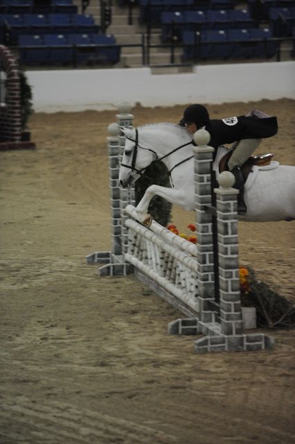 2167-HumorMe-BethanyBolen-LegacyCup-PonyFinals-5-17-08-DeRosaPhoto.jpg