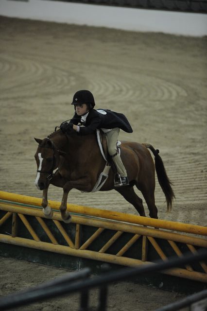 2178-AllAboutMe-MeredithDarst-LegacyCup-PonyFinals-5-17-08-DeRosaPhoto.jpg