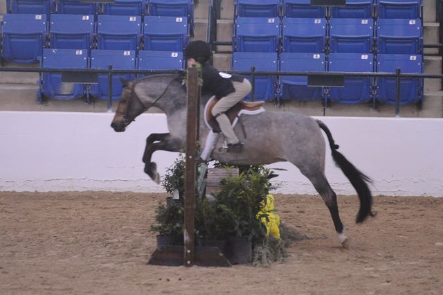 805-ChamplainClementine-ChloeJohnson-LegacyCup-PonyHunterGoRound-5-10-08-DeRosaPhoto.jpg