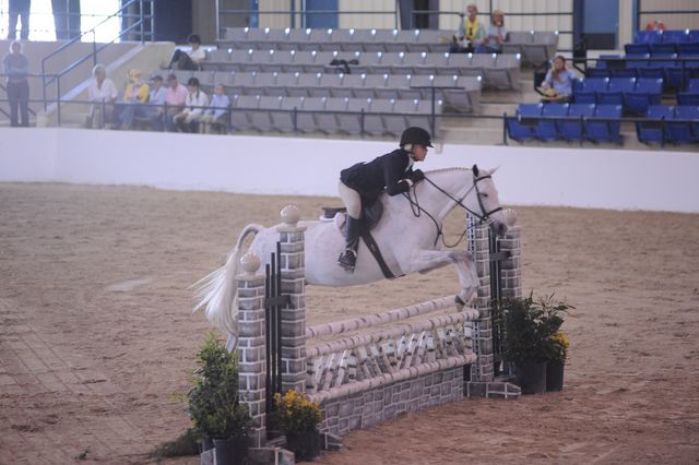 867-CherrybrookBlueSuedeShoe-LexiJohnson-LegacyCup-PonyHunterGoRound-5-10-08-DeRosaPhoto.jpg