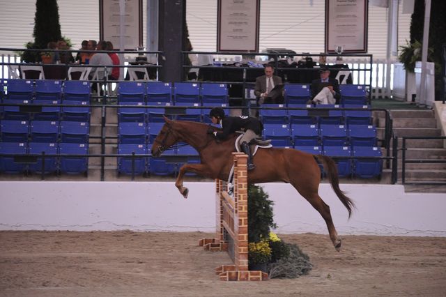 988-TheImpressionist-DeniseDerisioPerry-LegacyCup-Pro3'6Finals-5-10-08-DeRosaPhoto.JPG