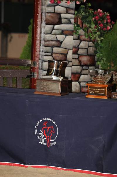 AHJF-9-30-09-Awards-013-DDeRosaPhoto.jpg