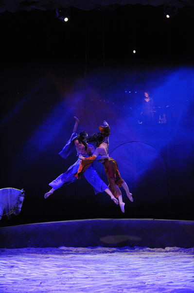 Cavalia-6-8-10-073-DDeRosaPhoto.jpg