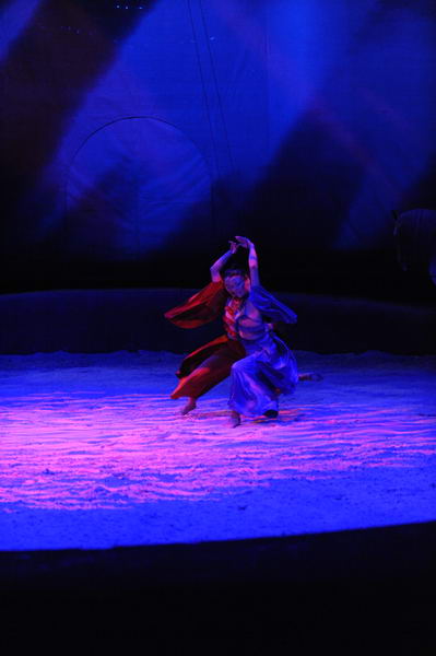 Cavalia-6-8-10-077-DDeRosaPhoto.jpg