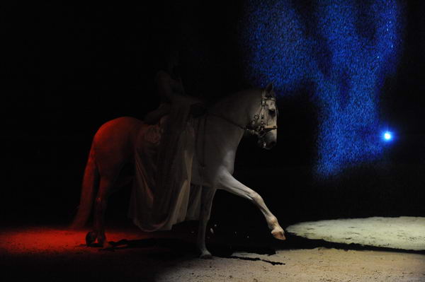 Cavalia-6-8-10-085-DDeRosaPhoto.jpg