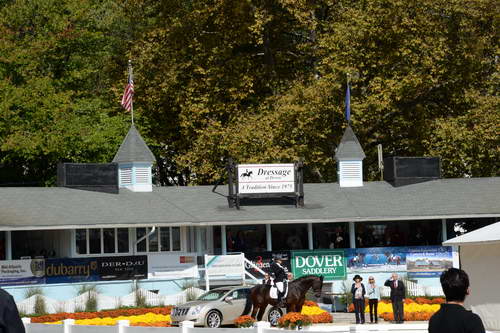 Dressage-at-Devon-9-27-13-4661-DDeRosaPhoto