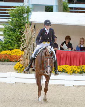 Dressage-at-Devon-9-27-13-4886-DDeRosaPhoto
