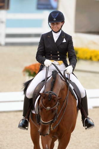 Dressage-at-Devon-9-27-13-4987-JillIrving-Degas12-DDeRosaPhoto