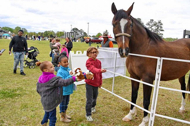 MARLEY'S ROUND UP-4-9-22-8196-DDeRosaPhoto
