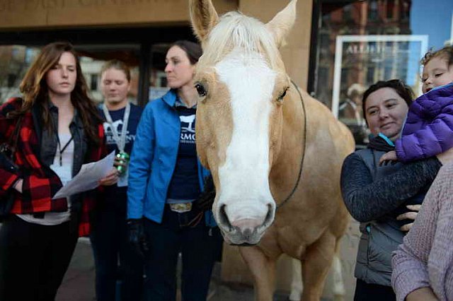 EQUUSFF-11-2016-8195--DDeRosaPhoto