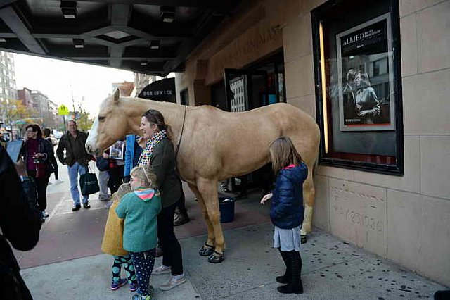 EQUUSFF-11-2016-8233--DDeRosaPhoto