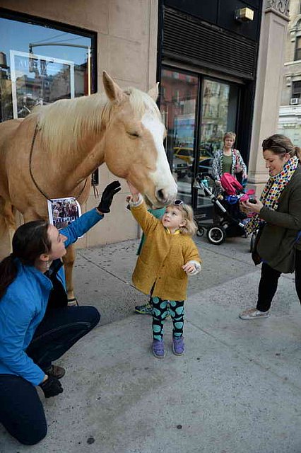 EQUUSFF-11-2016-8240--DDeRosaPhoto