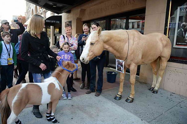 EQUUSFF-11-2016-8267--DDeRosaPhoto