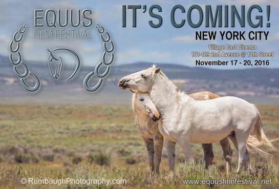 EFF - EQUUS Magazine Ad - November 2016