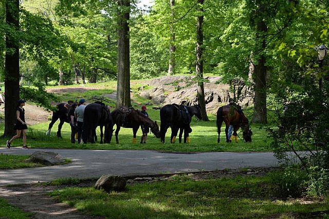 GALLOPNYC-5-22-2022-4287-DDeRosaPhoto