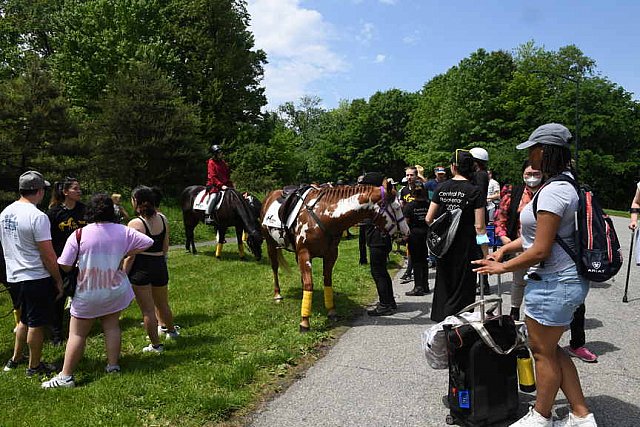 GALLOPNYC-5-22-2022-9602-DDeRosaPhoto