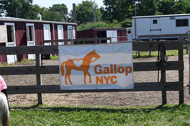 GallopNYC Sunrise-Farm-06-26-22-0903-DDeRosaPhoto
