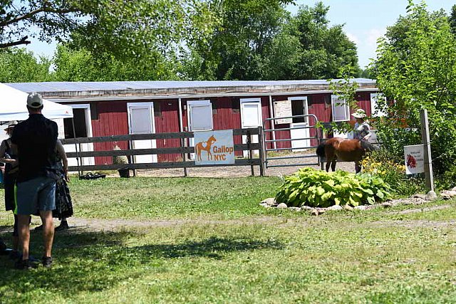 GallopNYC Sunrise-Farm-06-26-22-1139-DDeRosaPhoto