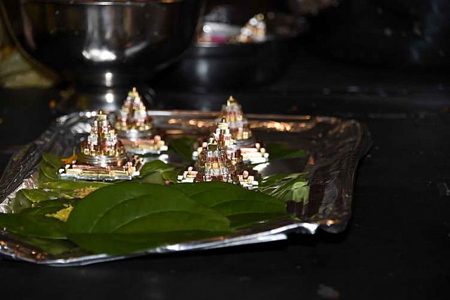 Gurudev1-7-12-14-7265-DDeRosaPhoto