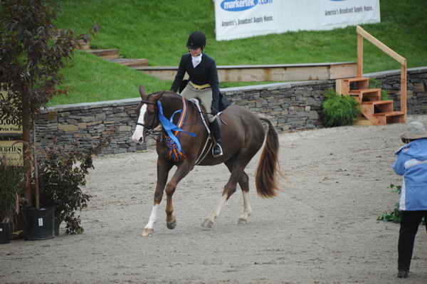 HITS-Hunters-9-11-11-3564-Mahalo-SamanthaSchaefer-DDeRosaPhoto.JPG