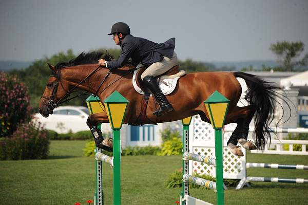 HC09-8-26-09-CavalorOpenJpr-0476-AmoreMio-KennethBerkley-DDeRosaPhoto.JPG