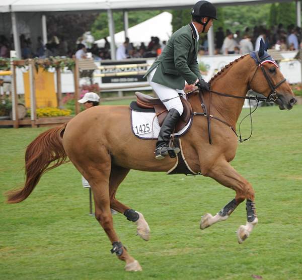 HC09-8-30-09-FTI-GP-0549-HeechhiemsTampa-JimmyTorano-DDeRosaPhoto.jpg