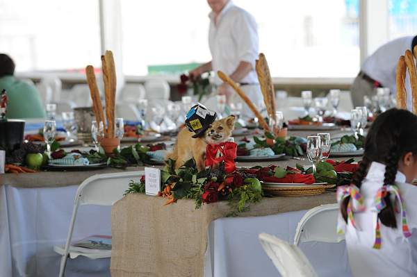 HC09-8-23-09-Tables-1121-DDeRosaPhoto.jpg