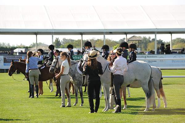 HC-10-29-10_0513-DDeRosaPhoto.jpg