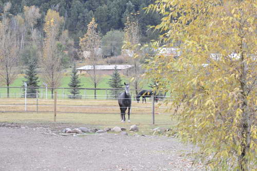 HHB1-10-13-12-9665-DDeRosaPhoto