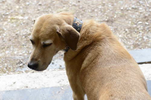 HHB2-10-13-12-0082-DDeRosaPhoto