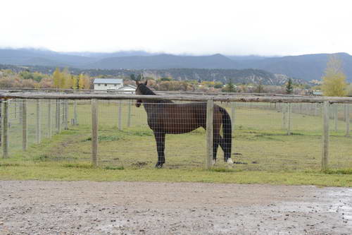 HHB2-10-13-12-0098-DDeRosaPhoto