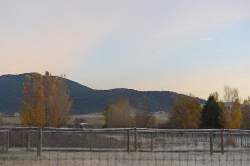 HHB2-10-16-12-2157-DDeRosaPhoto-DDeRosaPhoto