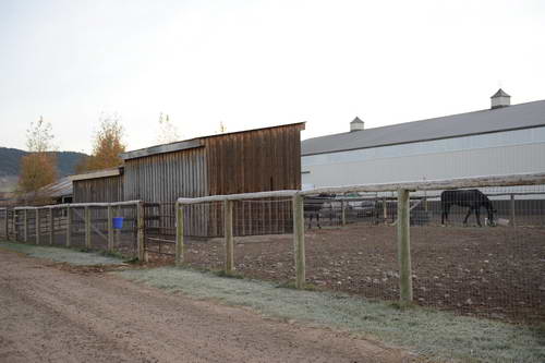 HHB2-10-16-12-2202-DDeRosaPhoto-DDeRosaPhoto