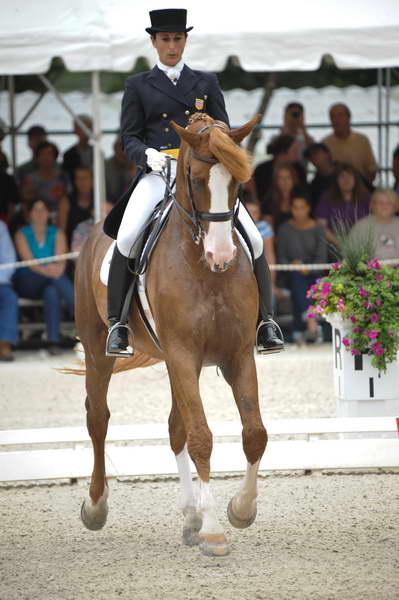 CatherineHaddadStaller-Winyamaro-USEF_2010_WEG_SelTrials_DER_6000-DDeRosaPhoto.jpg