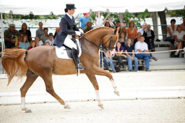 CatherineHaddadStaller-Winyamaro-USEF_2010_WEG_SelTrials_DER_6064-DDeRosaPhoto.jpg