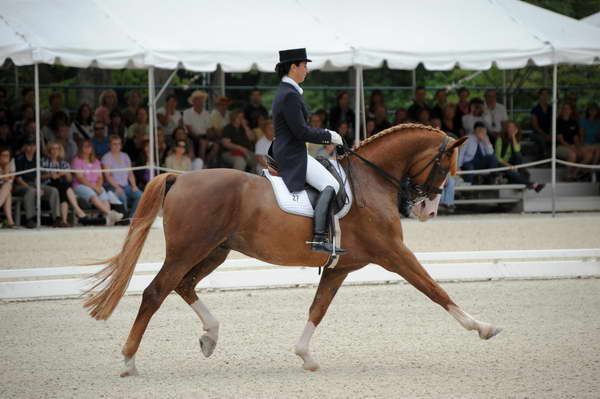 CatherineHaddadStaller-Winyamaro-USEF_2010_WEG_SelTrials_DER_6093-DDeRosaPhoto.jpg