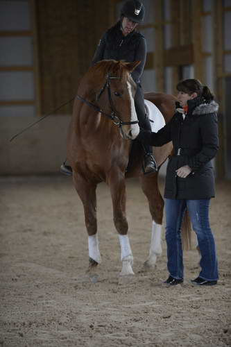 DayTyme-HHB2-10-13-12-0286-MarianNilsen-KathleenRaine-DDeRosaPhoto