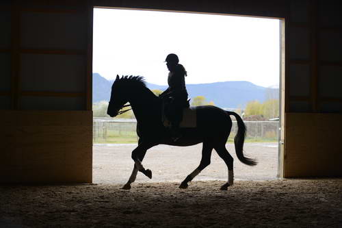 HHB2-10-13-12-0545-Frodo-MarianNilsen-DDeRosaPhoto