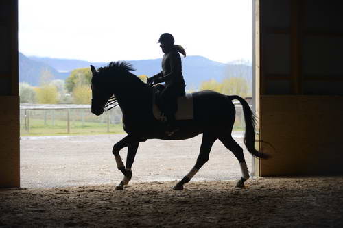 HHB2-10-13-12-0549-Frodo-MarianNilsen-DDeRosaPhoto