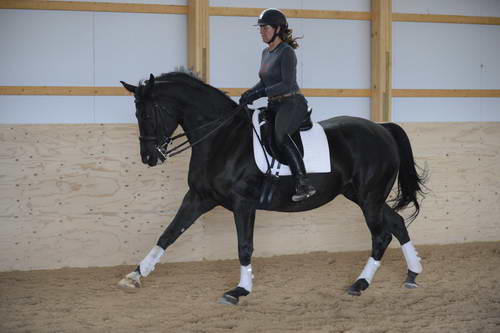HHB2-10-13-12-0717-Frodo-MarianNilsen-DDeRosaPhoto