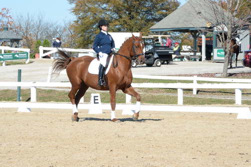 HHB-DressageFinals-11-8-13-0479-DDeRosaPhoto