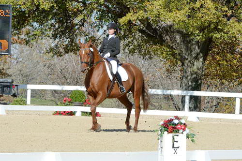 HHB-DressageFinals-11-8-13-0546-DDeRosaPhoto