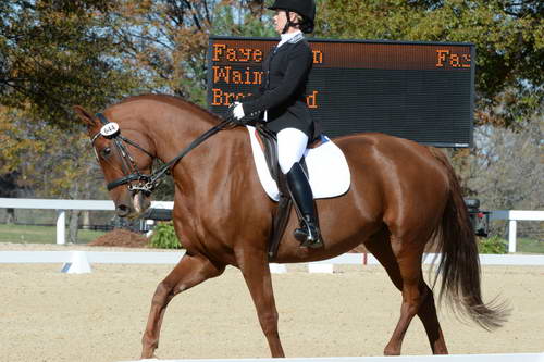 HHB-DressageFinals-11-8-13-0572-DDeRosaPhoto