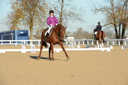 HHB-DressageFinals-11-9-13-2170-DDeRosaPhoto