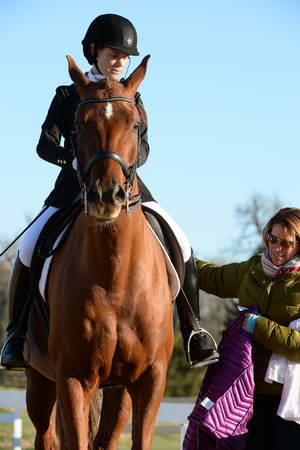 HHB-DressageFinals-11-9-13-2209-DDeRosaPhoto