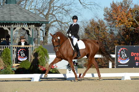 HHB-DressageFinals-11-9-13-2310-DDeRosaPhoto